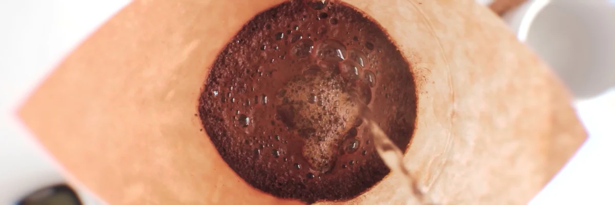 Fresh Roasted Coffee Since 2012